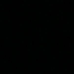 Meet your Posher, Kittycat